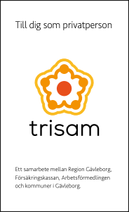 Bild Trisam Folder Info Privatperson